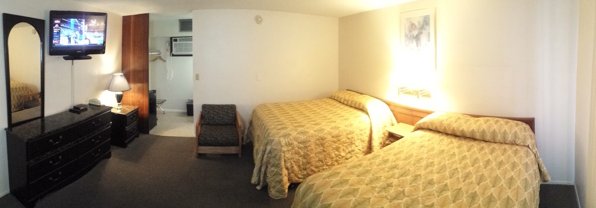 Spacious guest room with two beds